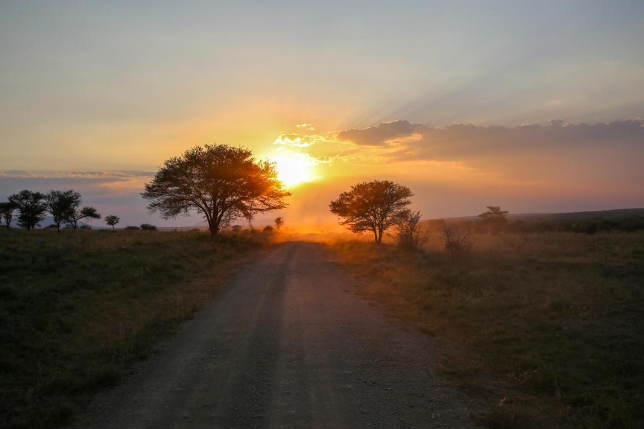 Osero Serengeti Luxury Tented Camp Banagi Eksteriør bilde
