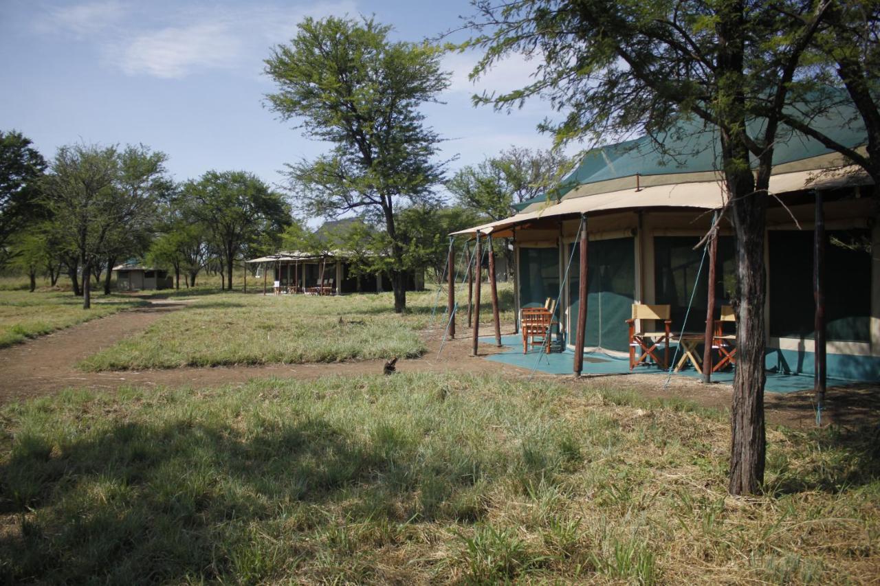 Osero Serengeti Luxury Tented Camp Banagi Eksteriør bilde